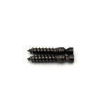 Ernie Ball Music Man EVH Axis Allen Head Wood Screw Posts