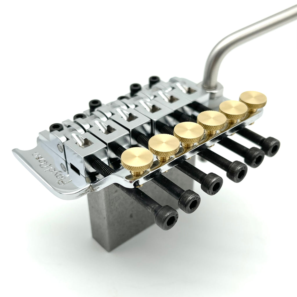 Floyd Rose FRT-5C | nate-hospital.com